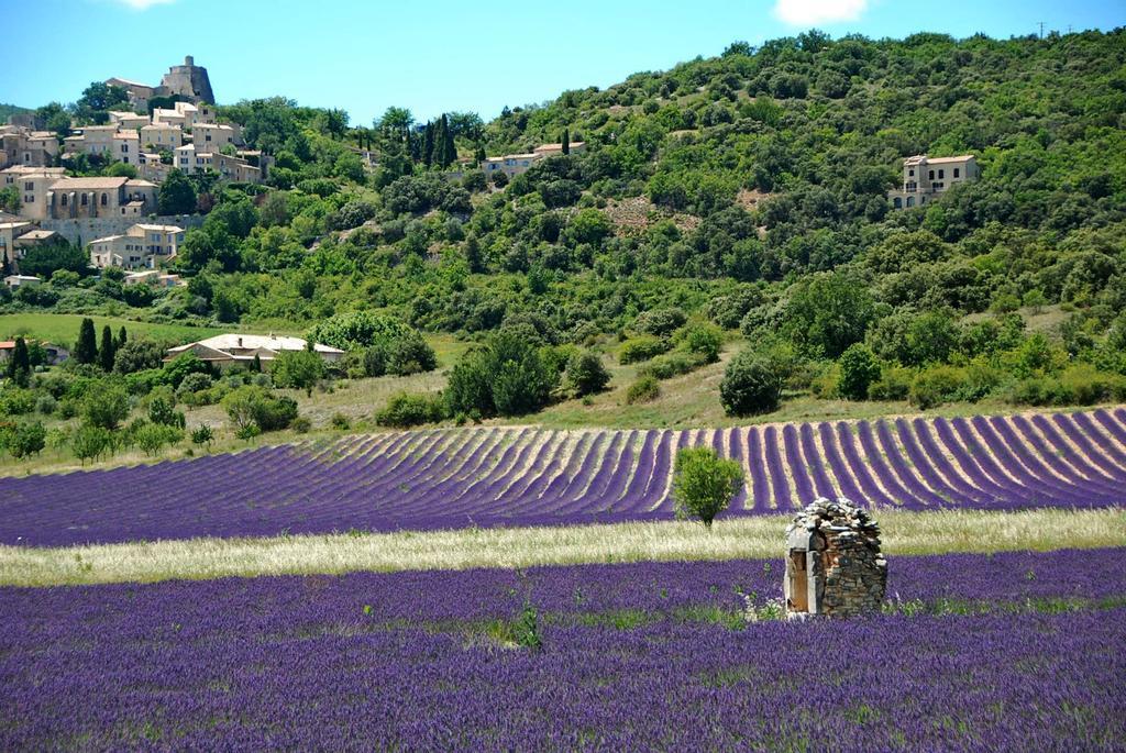 לינה וארוחת בוקר Le Domaine Saint Jean מראה חיצוני תמונה